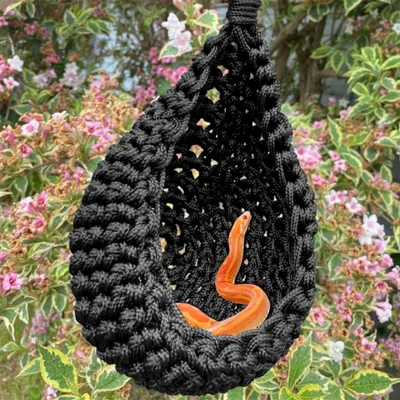 ZooVenture Hamac pour dragons barbus