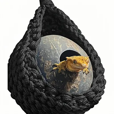 ZooVenture Hamac pour dragons barbus