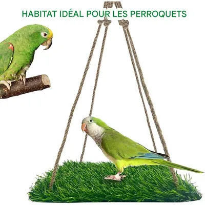 ZooVenture Perchoir et hamac pour oiseaux