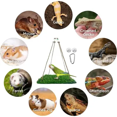 ZooVenture Perchoir et hamac pour oiseaux