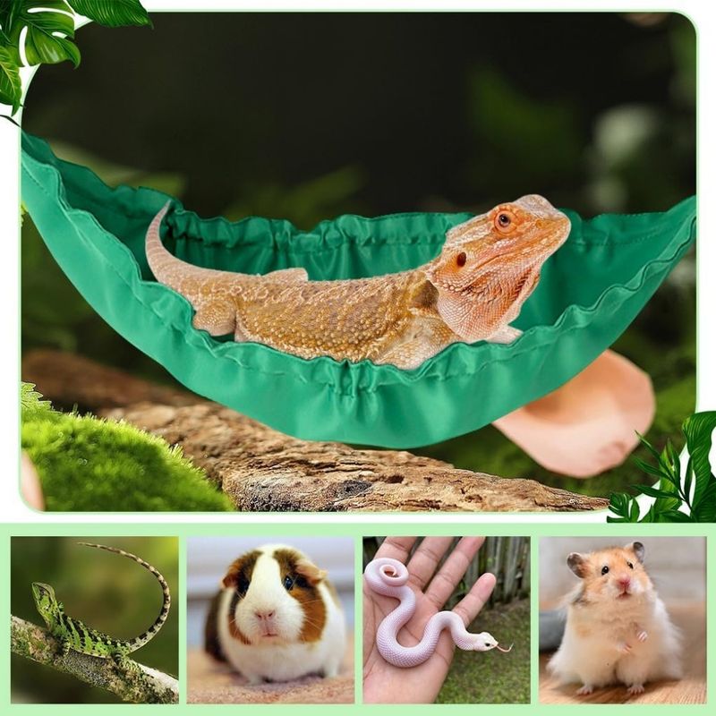 ZooVenture Hamac pour reptiles