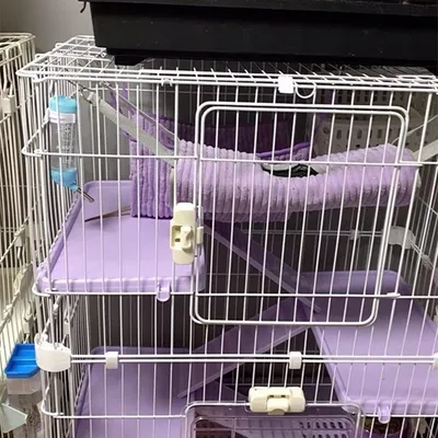 ZooVenture Hamac pour petits animaux