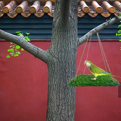 ZooVenture Perchoir et hamac pour oiseaux