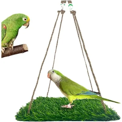 ZooVenture Perchoir et hamac pour oiseaux