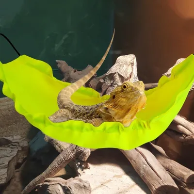 ZooVenture Hamac pour reptiles