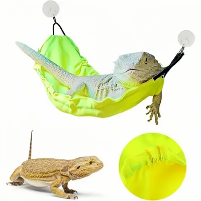 ZooVenture Hamac pour reptiles
