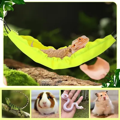 ZooVenture Hamac pour reptiles