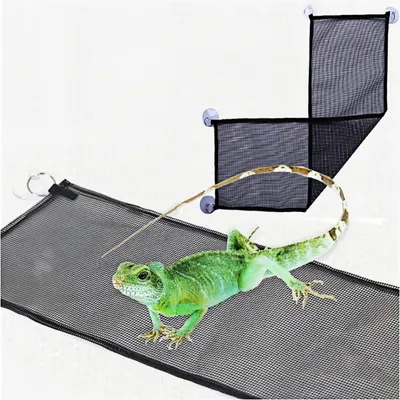 ZooVenture Hamacs pour reptiles