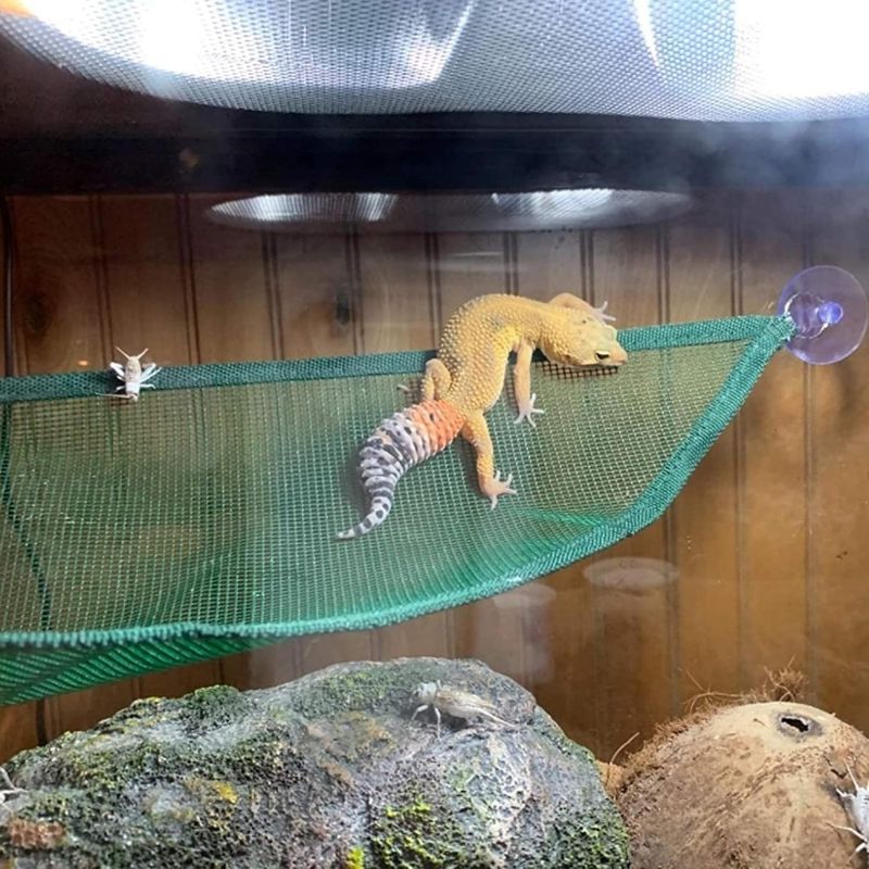 ZooVenture Hamac pour reptiles
