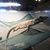 ZooVenture Hamac pour reptiles