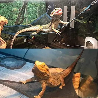 ZooVenture Hamac pour reptiles