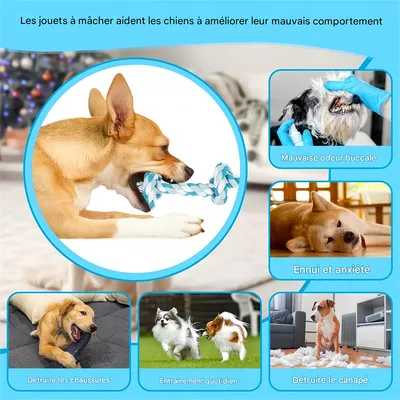 IntiMeg Seilspielzeug für Hunde, 14 Zoll IntiMeg Seilspielzeug für Hunde, 14 Zoll