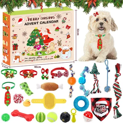 IntiMeg Calendrier de l'Avent pour chiens