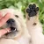 FurryFusion Coussinets antidérapants pour pattes de chien FurryFusion Coussinets antidérapants pour pattes de chien