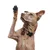 FurryFusion Coussinets antidérapants pour pattes de chien FurryFusion Coussinets antidérapants pour pattes de chien
