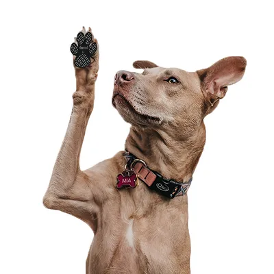 FurryFusion Coussinets antidérapants pour pattes de chien FurryFusion Coussinets antidérapants pour pattes de chien