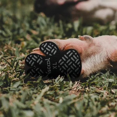 FurryFusion Coussinets antidérapants pour pattes de chien FurryFusion Coussinets antidérapants pour pattes de chien