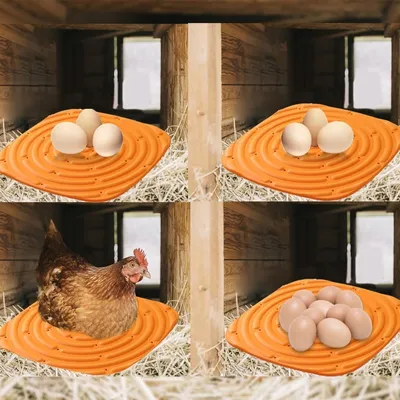 ZooVenture Ensemble de 8 tapis de nidification pour poulailler