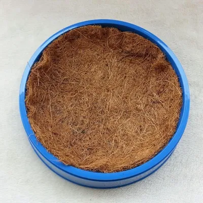 ZooVenture Ensemble de 10 tapis de nid pour pigeons