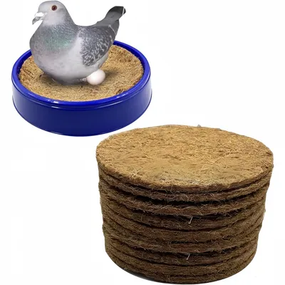 ZooVenture Ensemble de 10 tapis de nid pour pigeons
