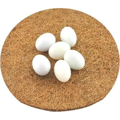 ZooVenture Ensemble de 10 tapis de nid pour pigeons