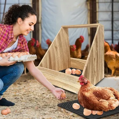 ZooVenture Ensemble de 4 coussins de nid pour poules