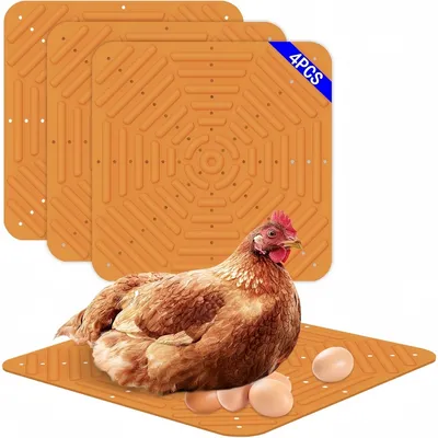 ZooVenture Ensemble de 4 coussins de nid pour poules