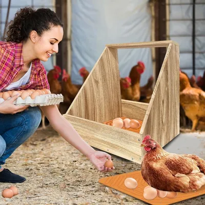 ZooVenture Ensemble de 4 coussins de nid pour poules