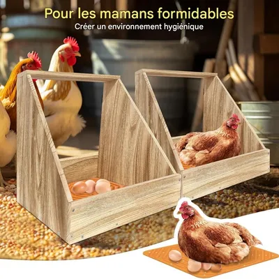 ZooVenture Ensemble de 4 coussins de nid pour poules
