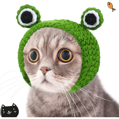 Katzenmützen mit Ohren Katzenmützen mit Ohren
