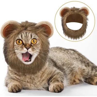 Katzenmützen mit Ohren Katzenmützen mit Ohren