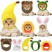Chapeaux pour Chat avec Oreilles