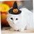 IntiMeg Hexenhut für Katzen zu Halloween IntiMeg Hexenhut für Katzen zu Halloween