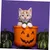 IntiMeg Hexenhut für Katzen zu Halloween IntiMeg Hexenhut für Katzen zu Halloween