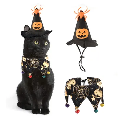 IntiMeg Hexenhut für Katzen zu Halloween IntiMeg Hexenhut für Katzen zu Halloween