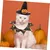 IntiMeg Hexenhut für Katzen zu Halloween IntiMeg Hexenhut für Katzen zu Halloween