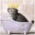 ZooVenture Bonnet de douche pour chats et chiens