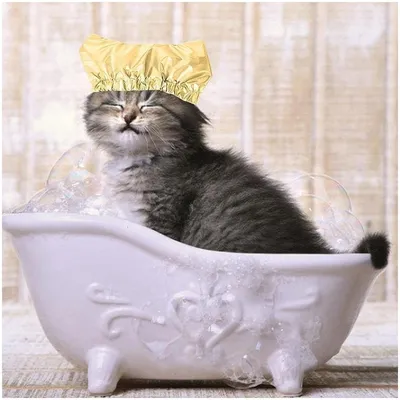 ZooVenture Bonnet de douche pour chats et chiens