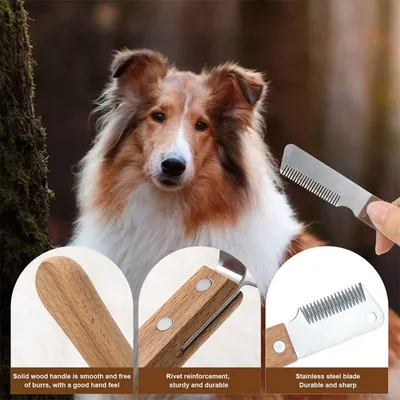 IntiMeg Ensemble de peignes à pincer pour chiens et chats