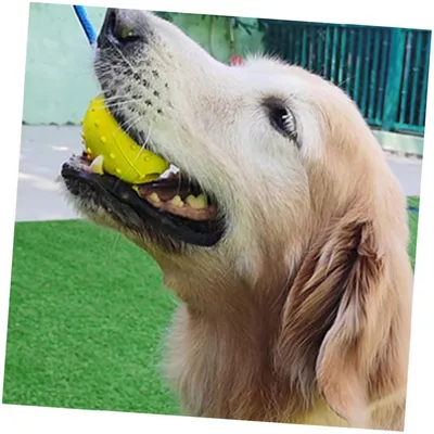 ZooVenture Jouets en caoutchouc pour chiens et chats