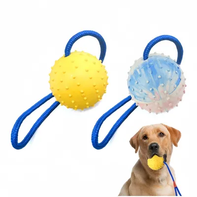 ZooVenture Jouets en caoutchouc pour chiens et chats