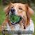 IntiMeg Jouet en corde pour chien, cadeau d'Halloween