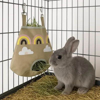 ZooVenture Mangeoire à foin pour petits animaux