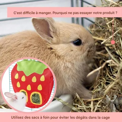 ZooVenture Distributeur d'aliments et de foin pour Petits Animaux