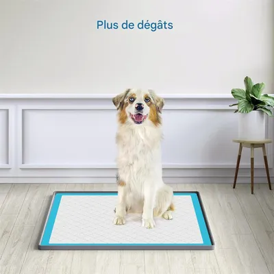 IntiMeg Tapis d'entraînement en silicone pour chiens et chats