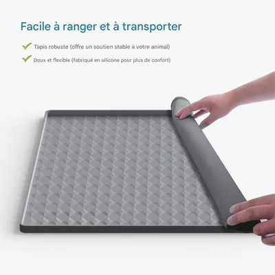IntiMeg Tapis d'entraînement en silicone pour chiens et chats