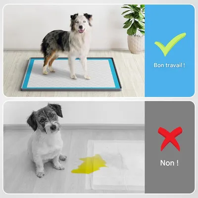 IntiMeg Tapis d'entraînement en silicone pour chiens et chats