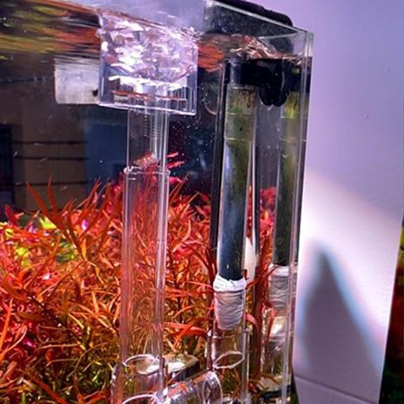 ZooVenture Éliminateur d'huile pour aquarium