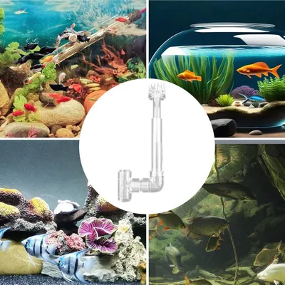 ZooVenture Éliminateur d'huile pour aquarium