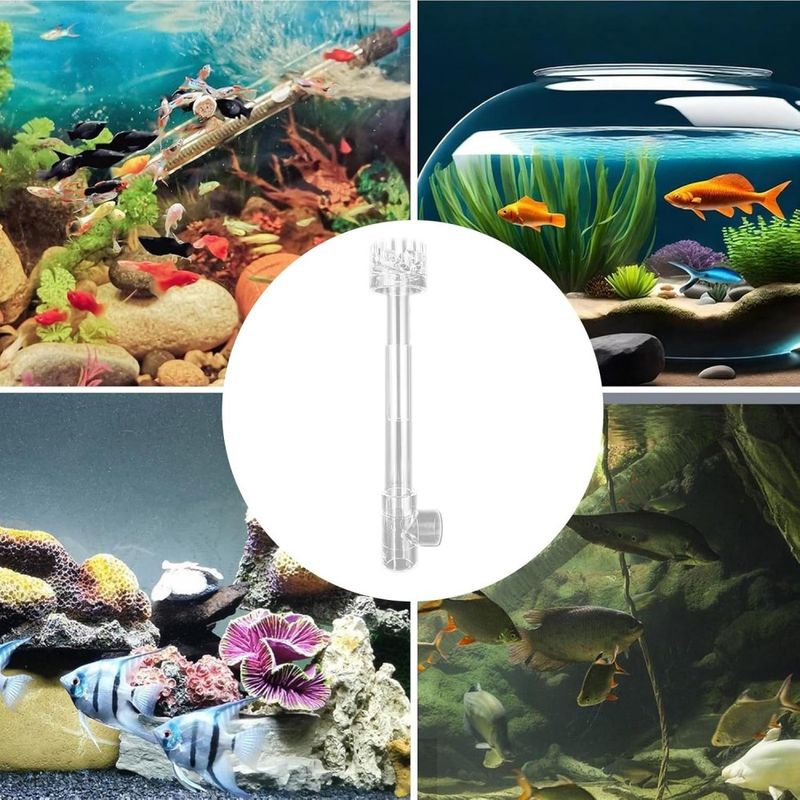 ZooVenture Éliminateur d'huile pour aquarium